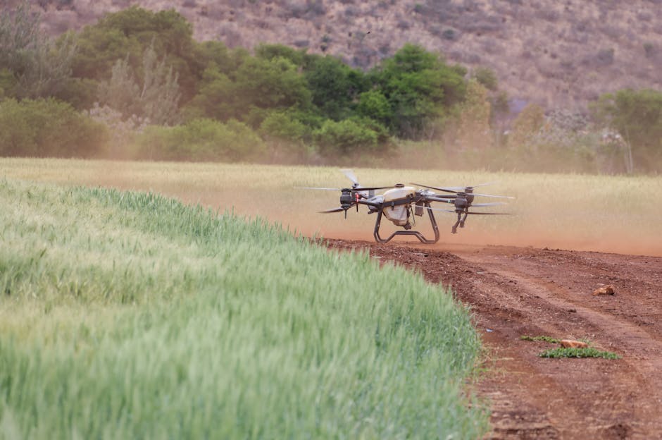 7 Reasons Why Adopting AI in Agriculture is Essential for Future Farmers - featured image