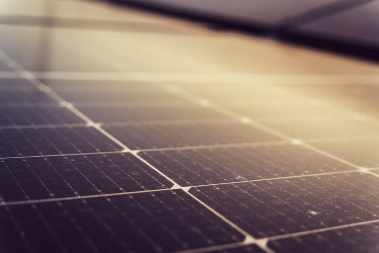 Exploring the Role of AI in Renewable Energy: 6 Tools You Should Consider