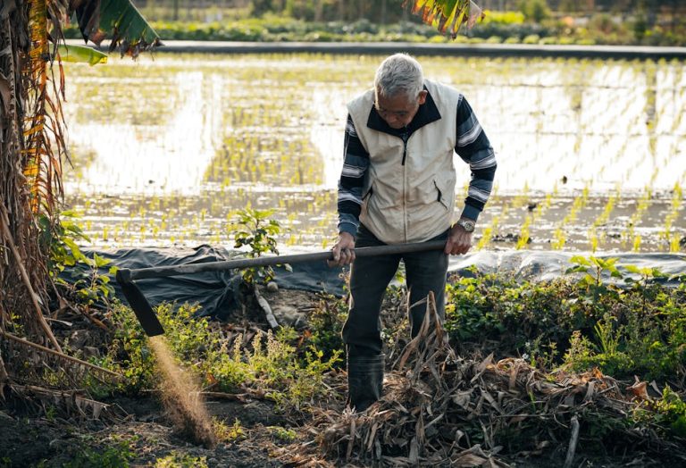 From Planting to Harvest: A Comprehensive Guide on Using AI Tools for Precision Agriculture