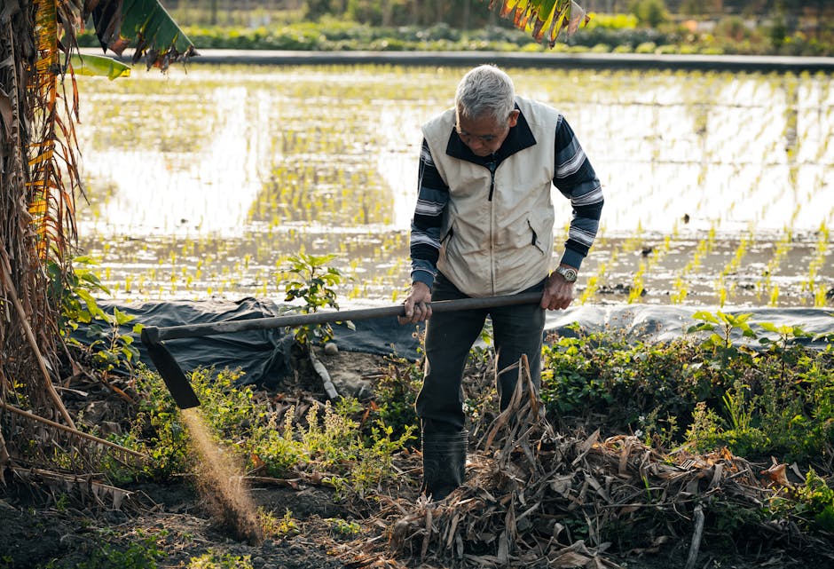 From Planting to Harvest: A Comprehensive Guide on Using AI Tools for Precision Agriculture