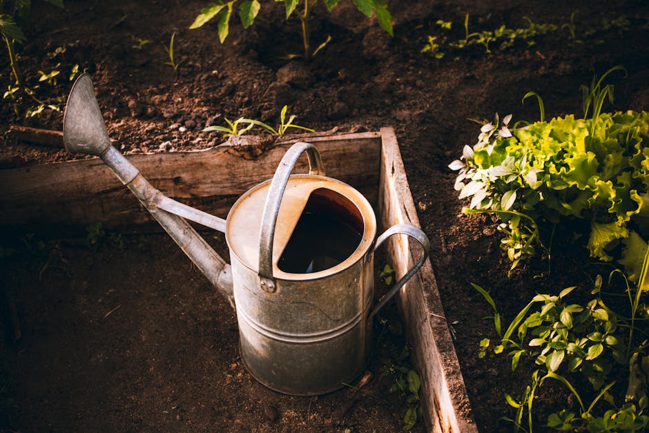 How to Leverage AI Tools to Optimize Water Usage and Improve Irrigation Practices - featured image