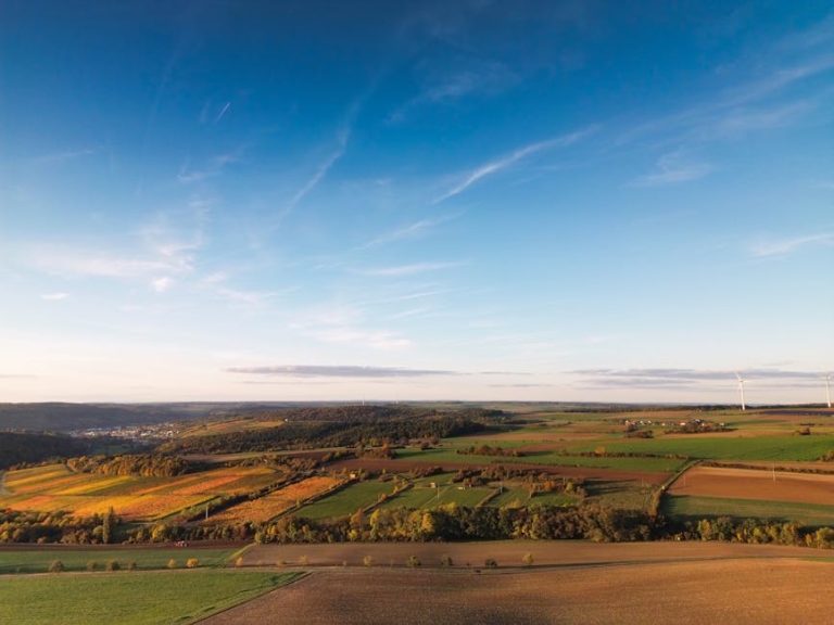 The Environmental Impact of AI Tools in Agriculture: Can Technology Save Our Planet?