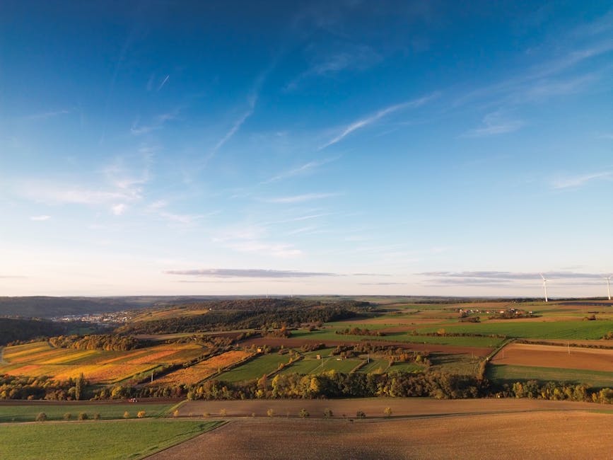 The Environmental Impact of AI Tools in Agriculture: Can Technology Save Our Planet? - featured image
