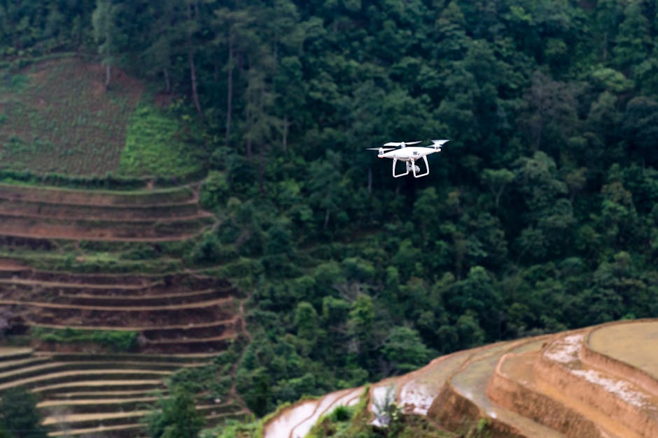 The Intersection of AI and Climate Resilience: 5 Applications That Could Save Communities - featured image