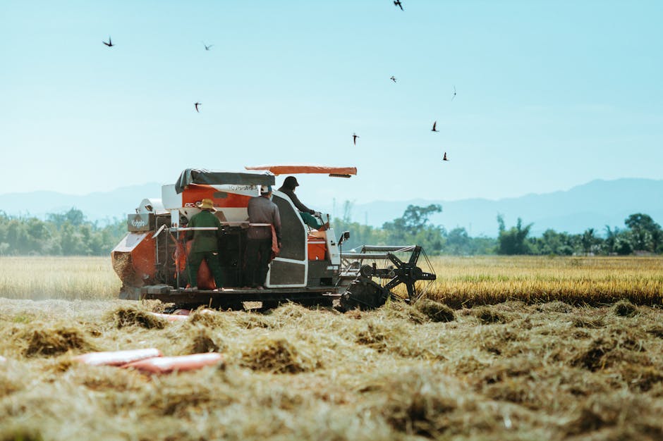 The Top 10 AI Tools Every Modern Farmer Should Use to Increase Yields